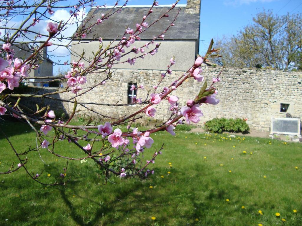 La Maison Claire Longueville  Eksteriør billede
